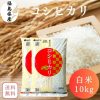 【送料無料】白米 米 10kg 福島県産コシヒカリ 10kg(5kg×2袋) 令和6年産