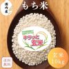 【送料無料】もち米 玄米 10kg 米 10kg(10kg×1袋) 国内産100％ 米 お米
