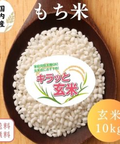 【送料無料】もち米 玄米 10kg 米 10kg(10kg×1袋) 国内産100％ 米 お米