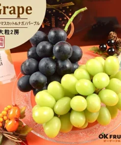 敬老の日 早割 プレゼント 健康茶付き シャインマスカット ナガノパープル ぶどう食べ比べセット 大粒サイズ大粒各1房（計2房）サプライズ ギフト フルーツ 秀品 朝入荷仕立て 【シャインマスカット＆ナガノパープル】